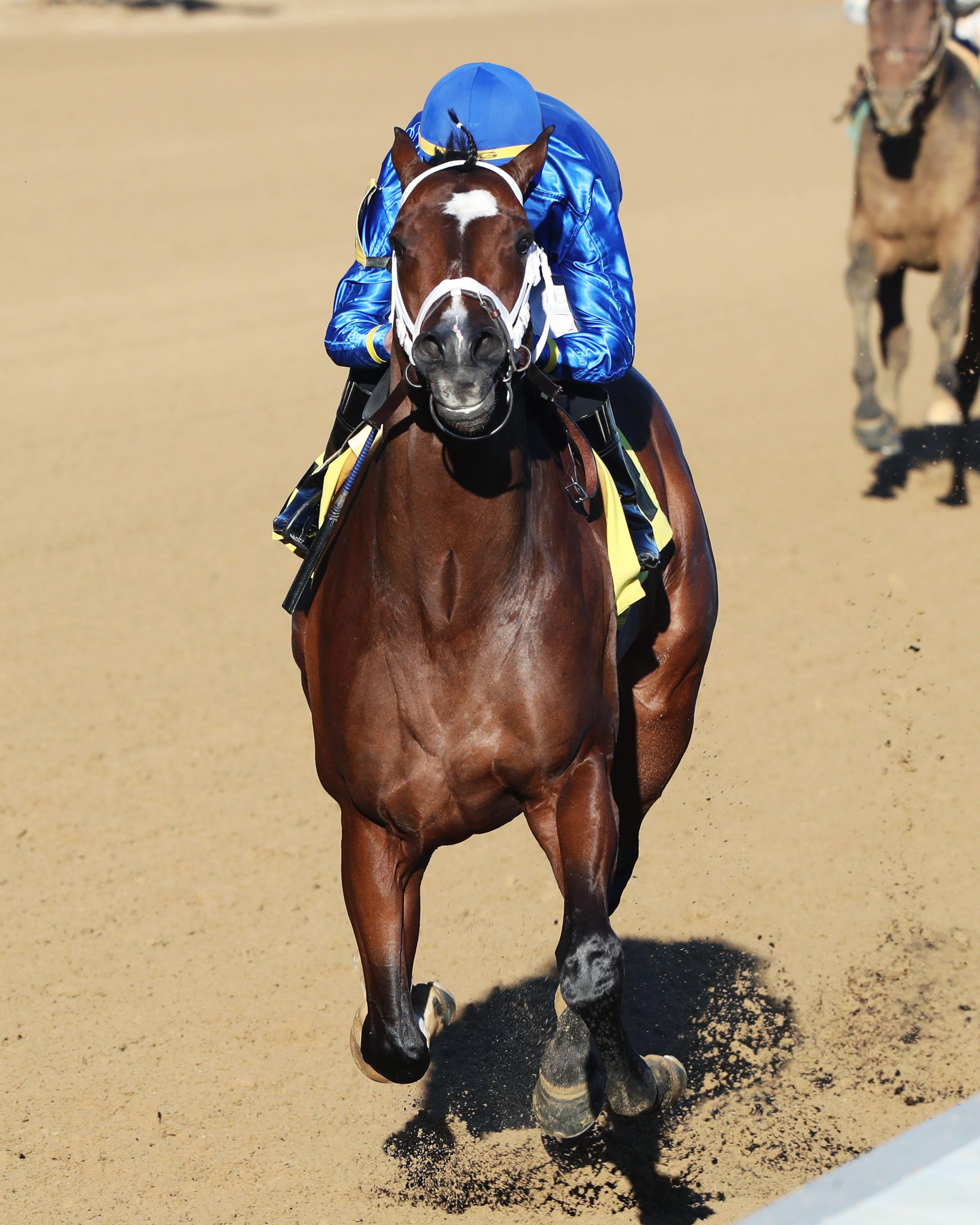 Nash, Churchill Downs, Coady Photography